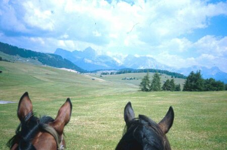 Alpe di Siusi: le orecchie dei cavalli inquadrano il panorama