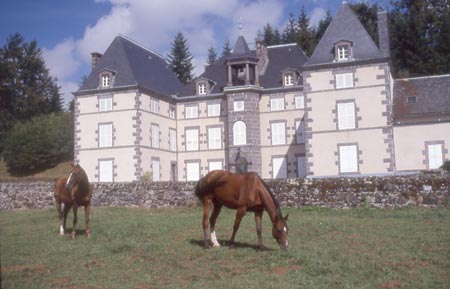  Il castello di Montlosier